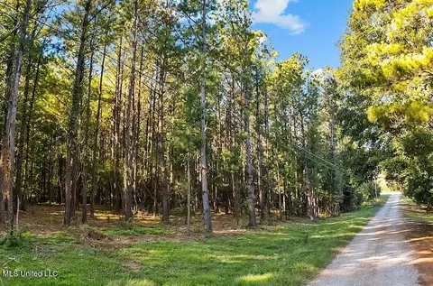 Cybur Hills Rd, Carriere, MS 39426