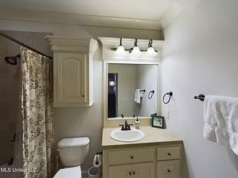 Bath - 159 Beaufort Cir, Madison, MS 39110 photo 7 of 7