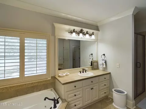 Bath - 159 Beaufort Cir, Madison, MS 39110 photo 3 of 7