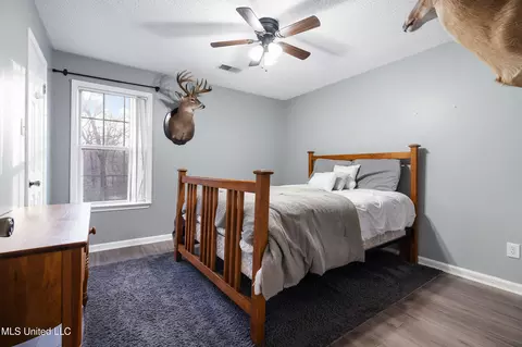 Bedroom - 703 Black Hawk Dr, Hernando, MS 38632 photo 3 of 3