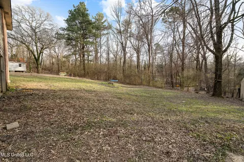 Exterior - 703 Black Hawk Dr, Hernando, MS 38632 photo 4 of 6