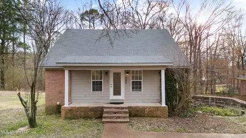 Exterior - 703 Black Hawk Dr, Hernando, MS 38632 photo 6 of 6