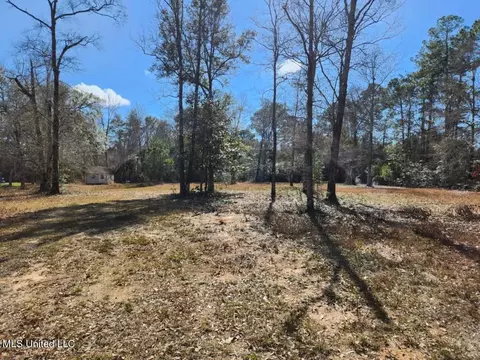 Jim Ramsey Road, Vancleave, MS 39565