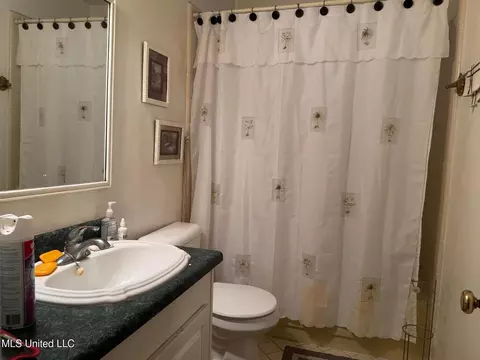 Bath - 1036 Briarfield Rd, Jackson, MS 39211 photo 1 of 2