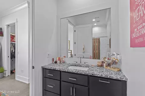 Bath - 134 Camden Trl, Madison, MS 39110 photo 6 of 6