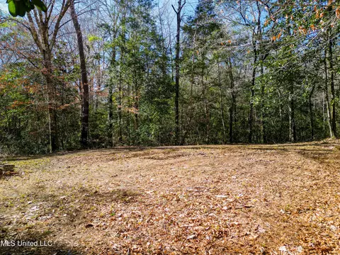 23448 River Ridge Dr, Saucier, MS 39574 photo 5