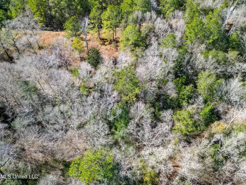 23448 River Ridge Dr, Saucier, MS 39574 photo 7