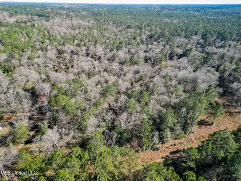 23448 River Ridge Dr, Saucier, MS 39574 photo 9