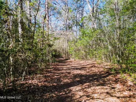 23448 River Ridge Dr, Saucier, MS 39574 photo 12