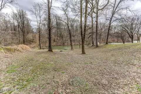 10641 Ben Lomond Cv, Hernando, MS 38632 photo 25
