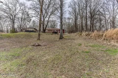 10641 Ben Lomond Cv, Hernando, MS 38632 photo 28
