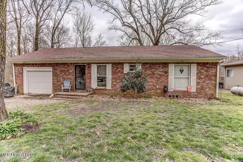 10641 Ben Lomond Cv, Hernando, MS 38632 photo 3