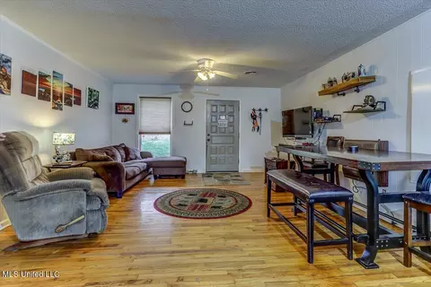 10641 Ben Lomond Cv, Hernando, MS 38632 photo 12