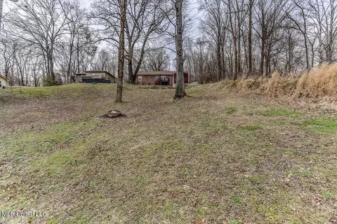 10641 Ben Lomond Cv, Hernando, MS 38632 photo 27