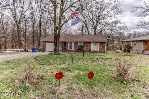 10641 Ben Lomond Cv, Hernando, MS 38632 photo 2