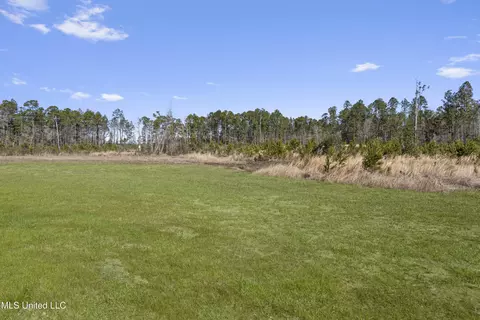 112 Moore Rd, Perkinston, MS 39573 photo 27