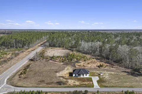 112 Moore Rd, Perkinston, MS 39573 photo 28