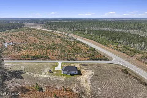 112 Moore Rd, Perkinston, MS 39573 photo 29