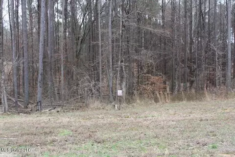 13357 Ella Ln, Byhalia, MS 38611