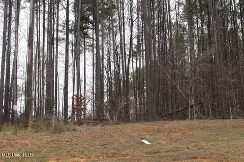 Ella Lane, Byhalia, MS 38611