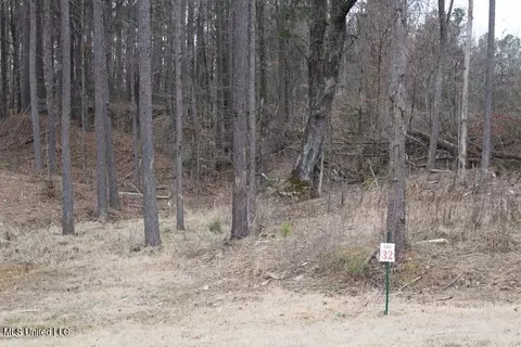 137 Pine Acres Dr, Byhalia, MS 38611