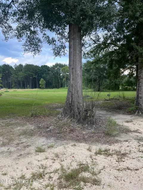 63 Jericho Rdg, Picayune, MS 39466 photo 3