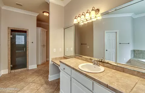 Bath - 809 Norwich Dr, Madison, MS 39110 photo 6 of 10