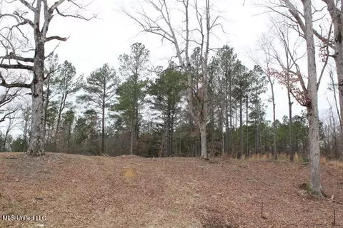 Louise Road, Byhalia, MS 38611