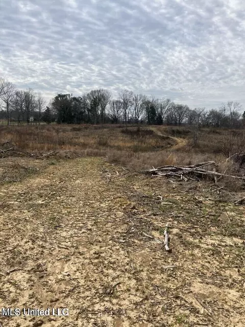 lot4 Cypress Corner Rd, Sarah, MS 38665