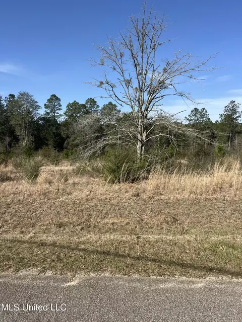 Long Vue Drive, Picayune, MS 39466