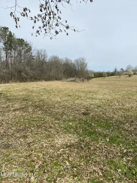 2332 Sharon Rd, Canton, MS 39046 photo 2