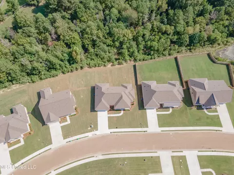 View/Area - 110 Trace Pointe Pl, Clinton, MS 39056 photo 2 of 2