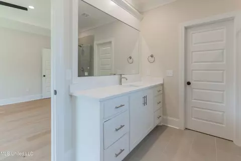 Bath - 110 Trace Pointe Pl, Clinton, MS 39056 photo 3 of 7