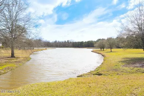 113 Lawrence Dr, Brandon, MS 39047 photo 58