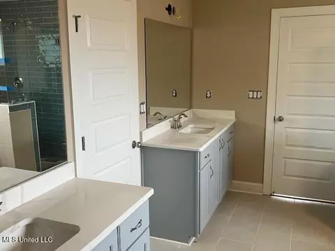 Bath - 4426 Brooke Dr, Nesbit, MS 38651 photo 3 of 6