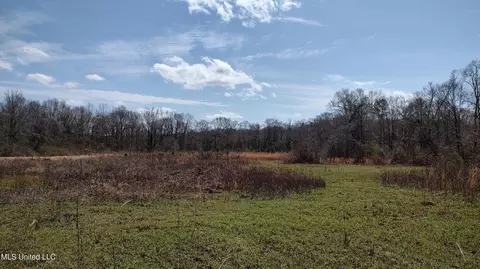 No Archie Wheat Road, Poplarville, MS 39470
