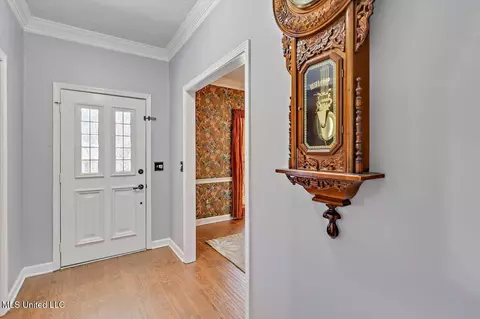 Entry Way - 112 Trace Cove Dr, Madison, MS 39110 photo 1 of 1