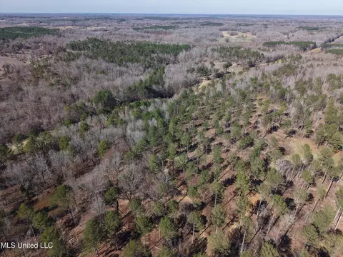 Paul Shady Grove Road Road, Cascilla, MS 38920