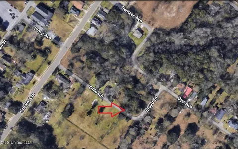 Lloyd Street, Moss Point, MS 39563 photo 2