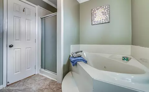 Bath - 4009 Bay Bridge Dr, Flowood, MS 39232 photo 4 of 6