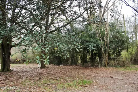 20 47ac Dean Nursery Rd, Lucedale, MS 39452 photo 2