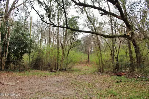 20 47ac Dean Nursery Rd, Lucedale, MS 39452 photo 9