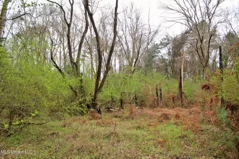 20 47ac Dean Nursery Rd, Lucedale, MS 39452 photo 3