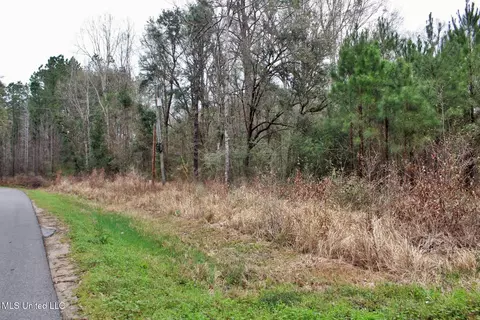 20 47ac Dean Nursery Rd, Lucedale, MS 39452 photo 15
