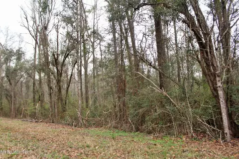 20 47ac Dean Nursery Rd, Lucedale, MS 39452 photo 8