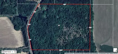 20 47ac Dean Nursery Rd, Lucedale, MS 39452 photo 17