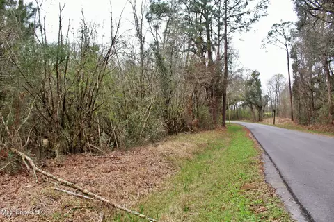 20 47ac Dean Nursery Rd, Lucedale, MS 39452 photo 14