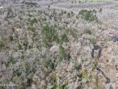 Clyde Evans Rd, Newton, MS 39345 photo 23