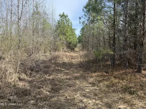 Clyde Evans Rd, Newton, MS 39345 photo 6