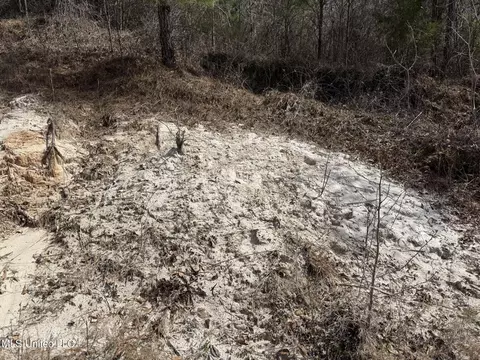 Clyde Evans Rd, Newton, MS 39345 photo 7